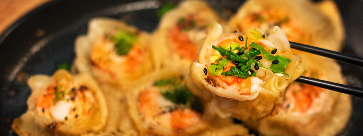 Shrimp Chicken Dumplings, recipe 8